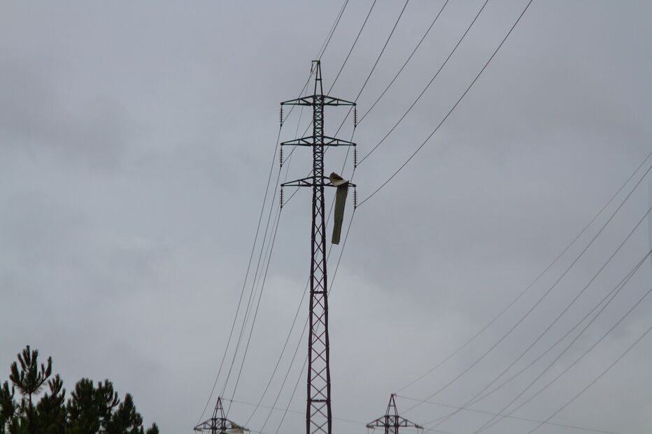 Danos Marinha Grande