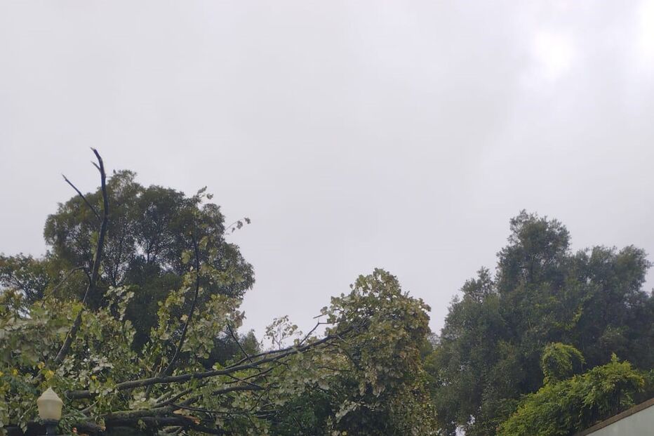 Mau tempo provoca estragos em Alto de Santo Amaro