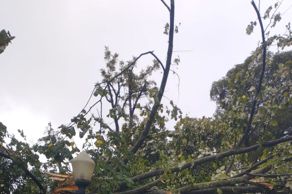 Mau tempo provoca estragos em Alto de Santo Amaro