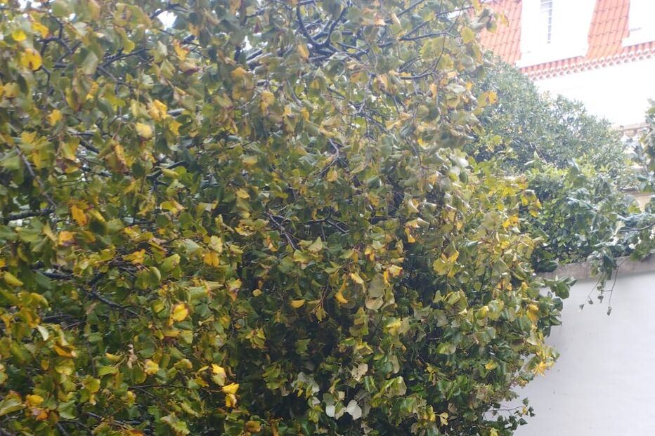 Mau tempo provoca estragos em Alto de Santo Amaro