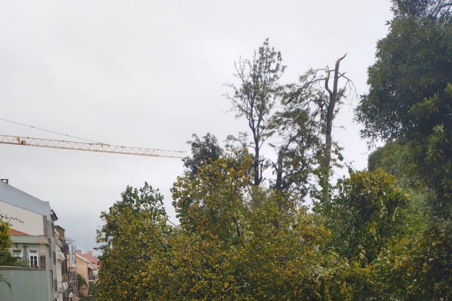 Mau tempo provoca estragos em Alto de Santo Amaro