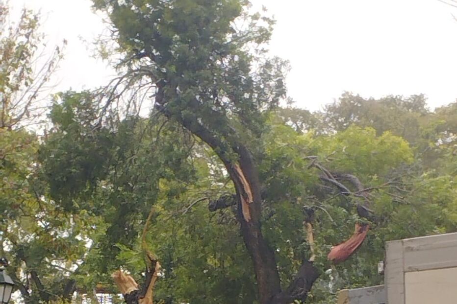 Mau tempo provoca estragos em Alto de Santo Amaro