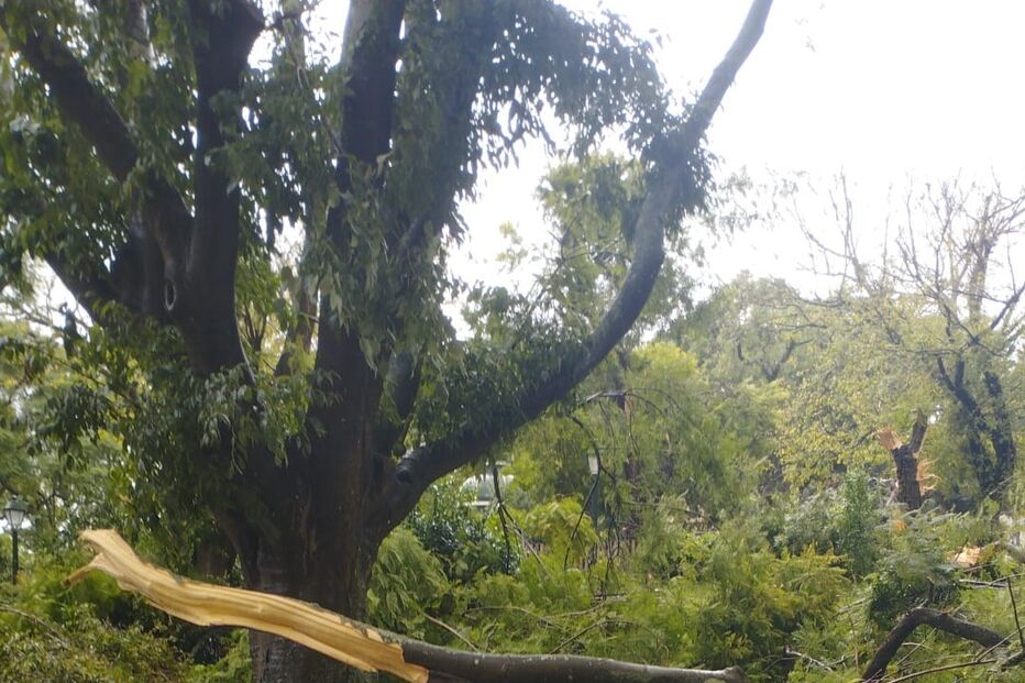 Mau tempo provoca estragos em Alto de Santo Amaro