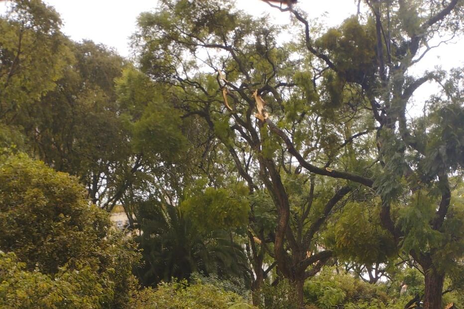 Mau tempo provoca estragos em Alto de Santo Amaro