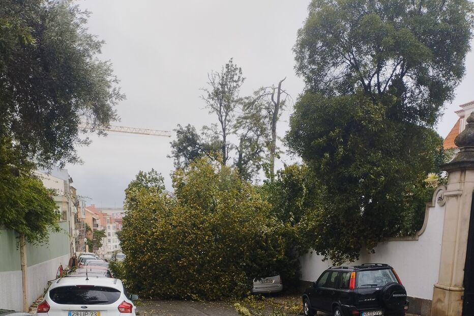 Mau tempo provoca estragos em Alto de Santo Amaro