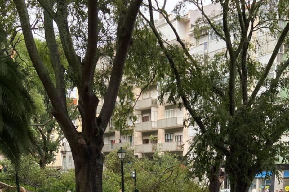 Estragos em Alcântara