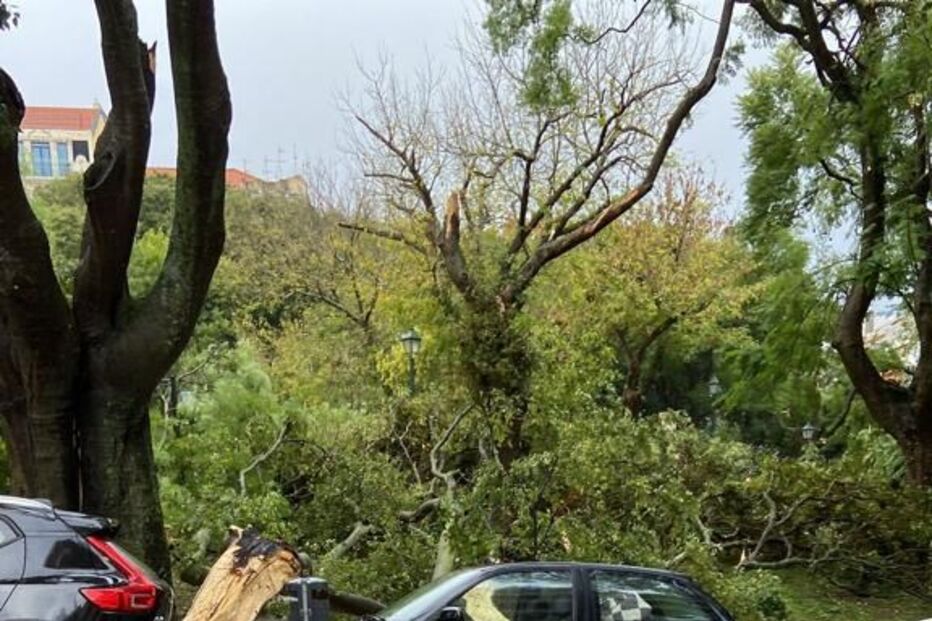 Estragos em Alcântara