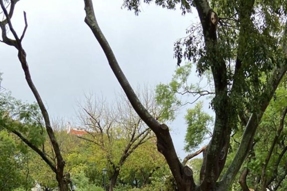 Estragos em Alcântara