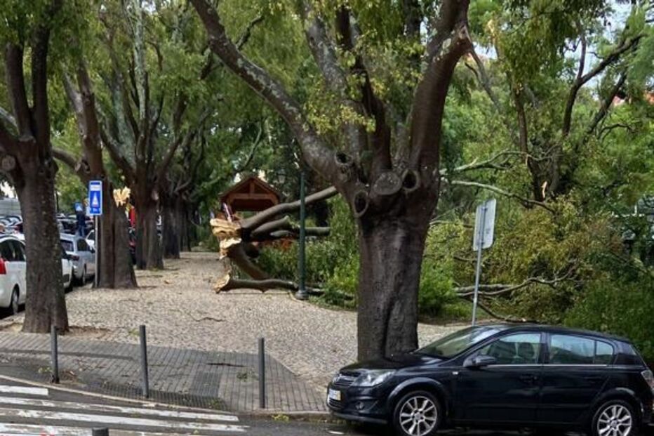 Estragos em Alcântara