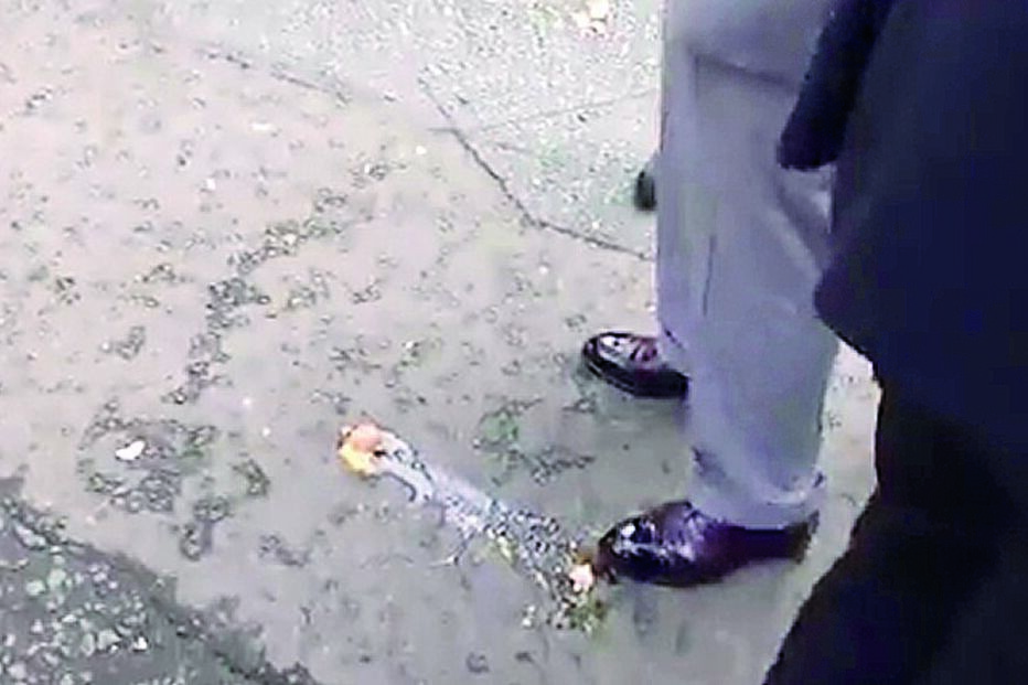 2022-11-09_22_56_26 Imagem VLCSNAP-2022-11-09-18H25M08S280.jpg