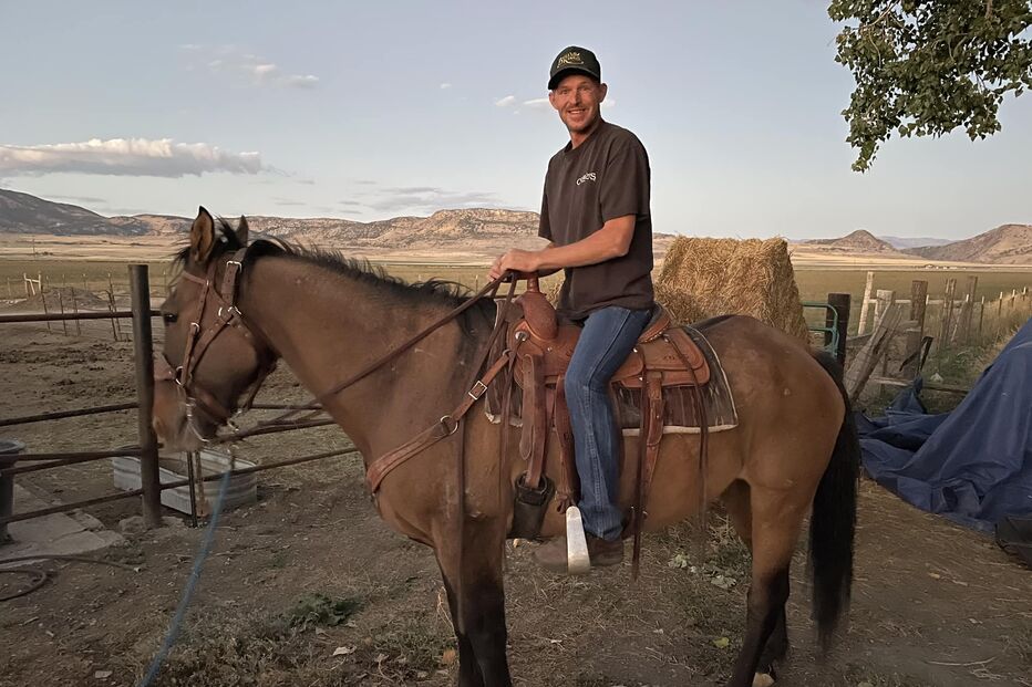 Cavalo encontrado depois de oito anos desaparecido