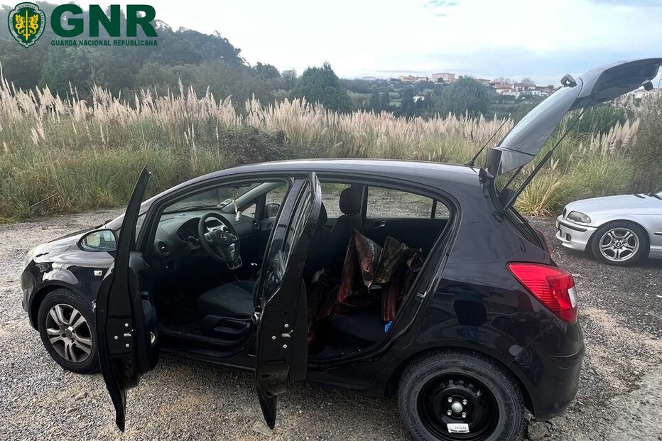 furto, casa, GNR, Arcozelo, Vila Nova de Gaia