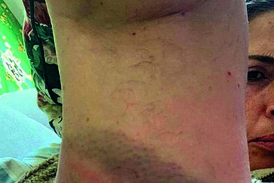 Imagens que Susana da Silva apresentou