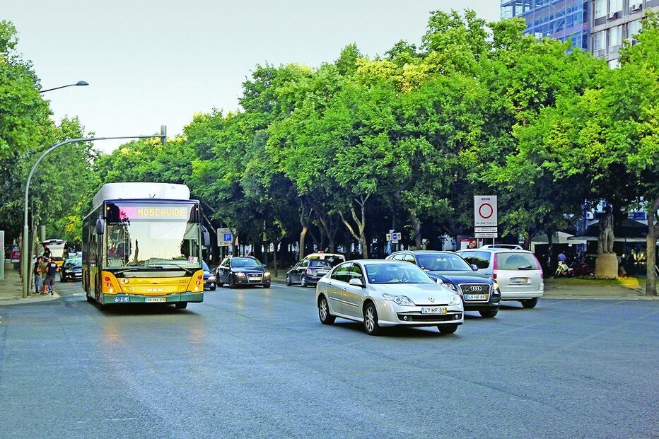 2022-11-28_09_29_53 showimage (1).jpg