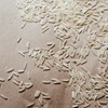 Aumento do preço do arroz afeta negócios na Guiné-Bissau