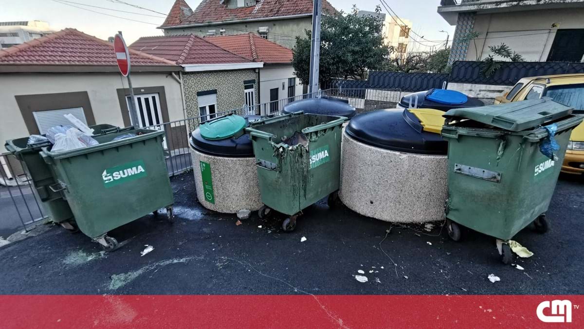 Contentores do lixo vandalizados em Vila Nova de Gaia - Atualidade ...