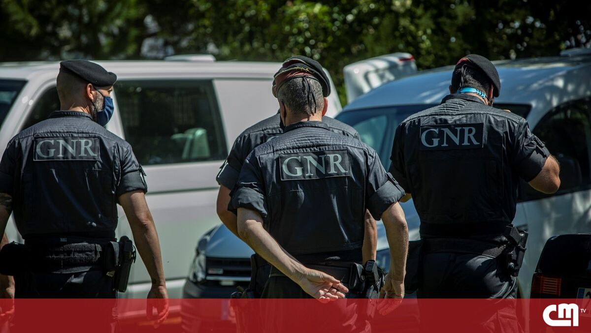 Gnr Detém Quatro Alegados Traficantes E Apreende Droga No Alentejo E