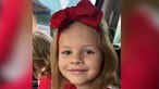 Menina de sete anos raptada e morta por motorista de transportadora 