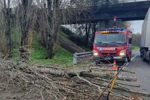 2022-12-12_23_14_19 Anadia5.jpg