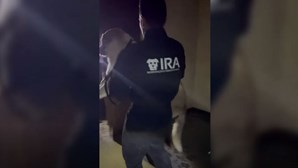 IRA resgata animais de companhia abandonados durante as cheias de quarta-feira em Lisboa