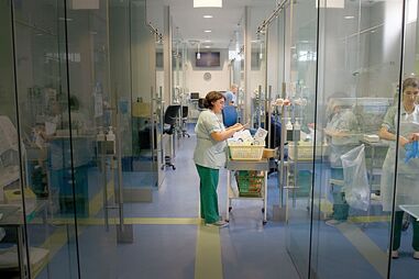 Maternidade Alfredo da Costa, Ofélia Costa, Vicente Pinto, Ricardo Mira