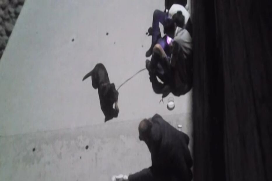 Nova droga destrói a vida de centenas de jovens na Madeira 