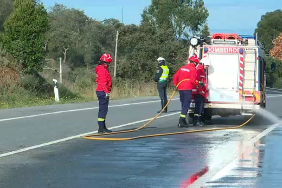Homem de 45 anos morre atropelado enquanto caminhava no IC1 em Silves
