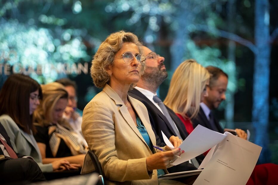 Imagem _MAL8389.JPG (16287434) (Milenium)