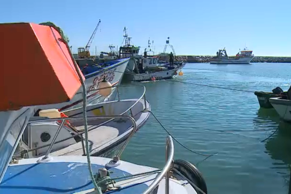Apreensões de droga no mar batem recorde este ano