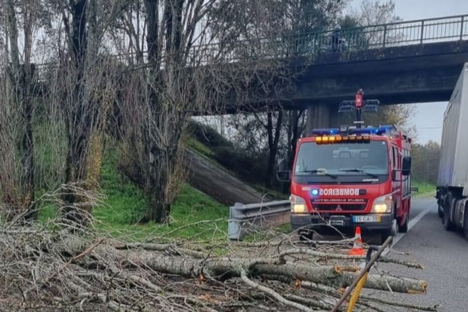 2022-12-12_23_14_19 Anadia5.jpg