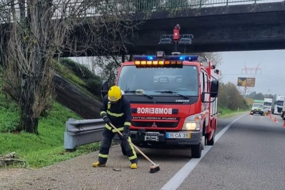 2022-12-12_23_14_21 Anadia3.jpg