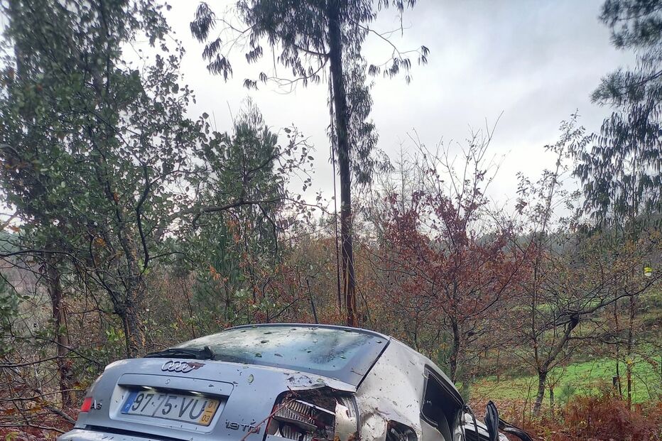 Despiste em Carregosa, Oliveira de Azeméis