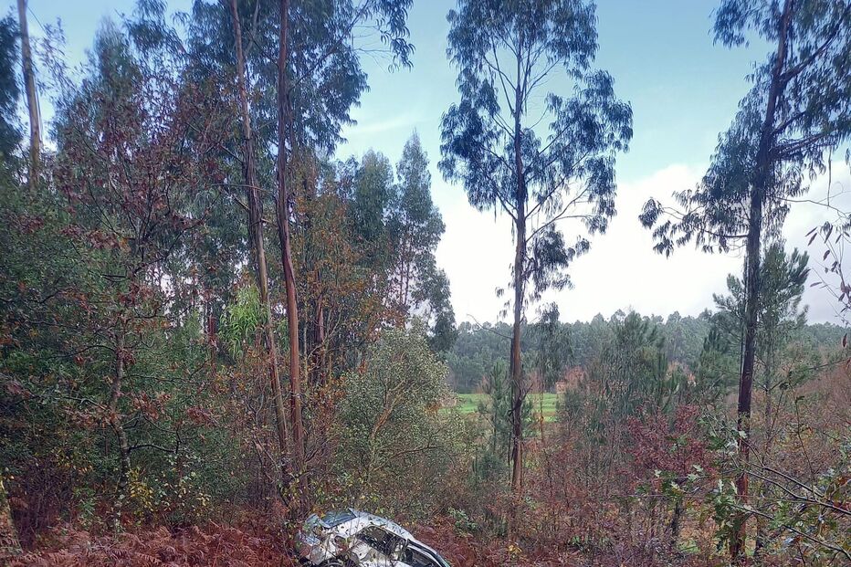 Despiste em Carregosa, Oliveira de Azeméis