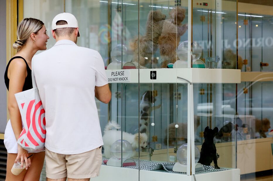 Animais de estimação