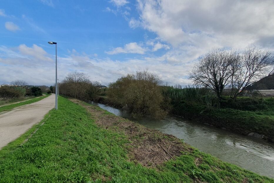 Leiria, rio Lis, cabeça, corpo