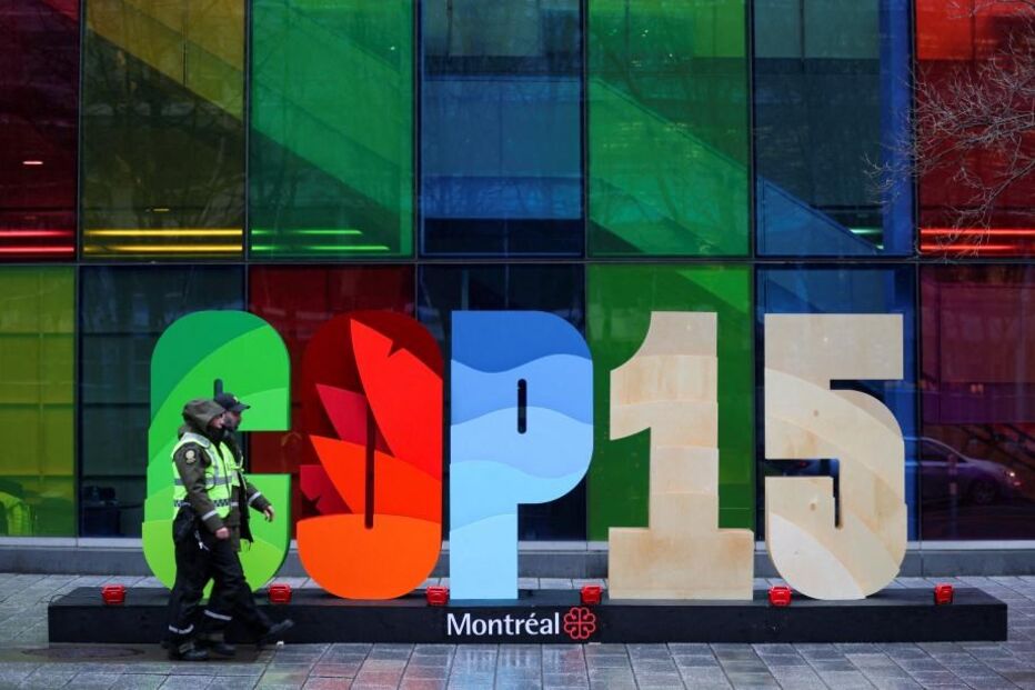 COP15