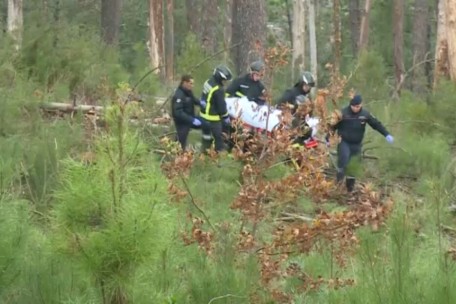 Jovem morre atingido por pinheiro 