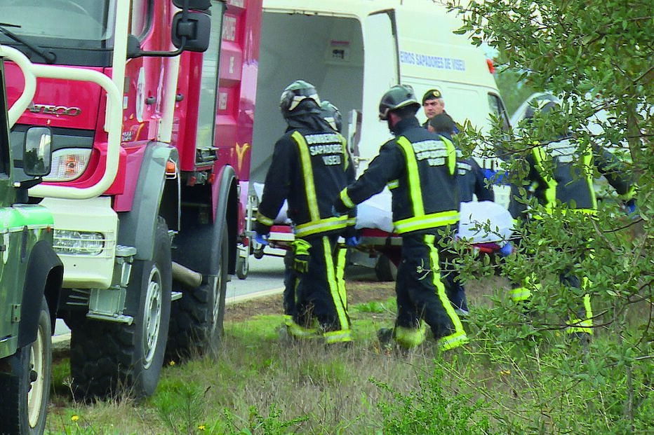 Pai vê pinheiro a esmagar filho em Viseu