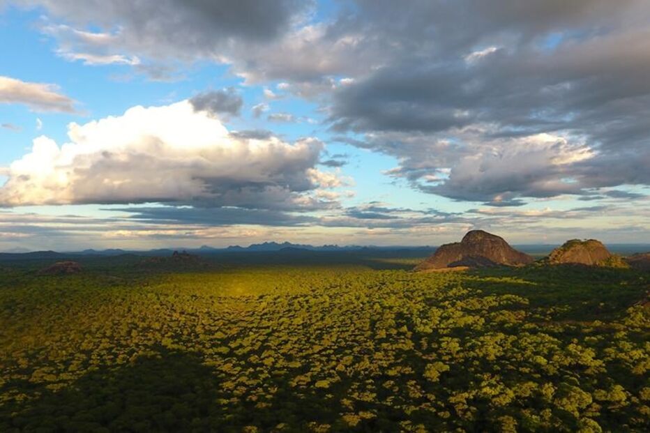 Reserva Especial do Niassa