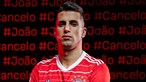 Birra de Cancelo dá 2,1 milhões de euros ao Benfica