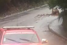 Derrocada em Espinho