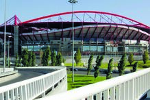 Chefe dos 'Diabos Vermelhos' encontrado morto a tiro nas imediações do Estádio da Luz