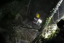 Bombeiros de Penafiel resgatam um cão e uma ovelha de um ribeiro