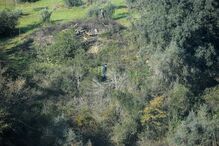 Buscas da PJ por Filipe Silva