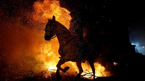 Cavalos atravessam as chamas para ficarem “purificados”
