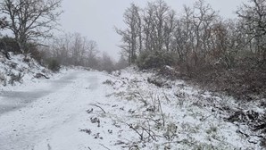 Queda de neve deixa Trás-os-Montes coberto de branco