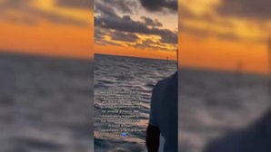 Vídeo mostra momento em que família encontra filho de 21 anos à deriva no mar