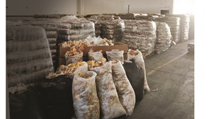 Rede que traficava ‘coca’ em feijão em Vila Franca de Xira fica em prisão preventiva