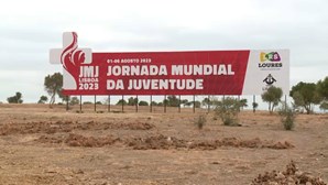 Governo reafirma que José Sá Fernandes é o coordenador do grupo de projetos da JMJ