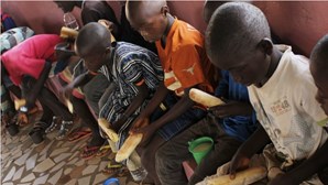 Programa Alimentar Mundial alerta para aumento de insegurança alimentar na Guiné-Bissau em 2023 